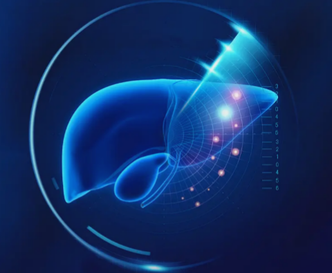 肝胆微环境净化养护