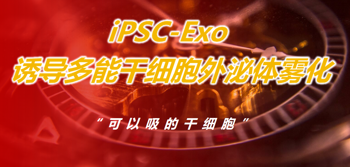 肺泌舒（iPS外泌体雾化）