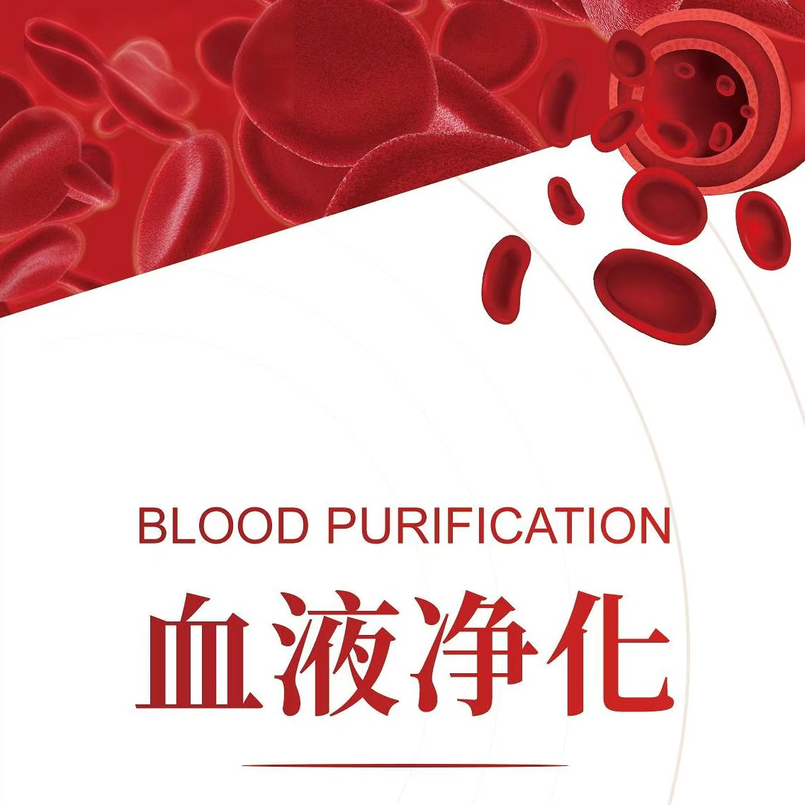 博鳌医旅-血液净化