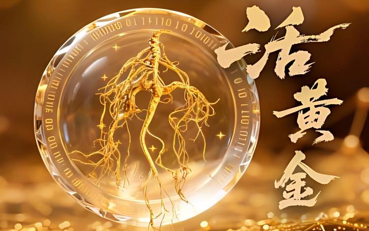 在地野山参提货权益