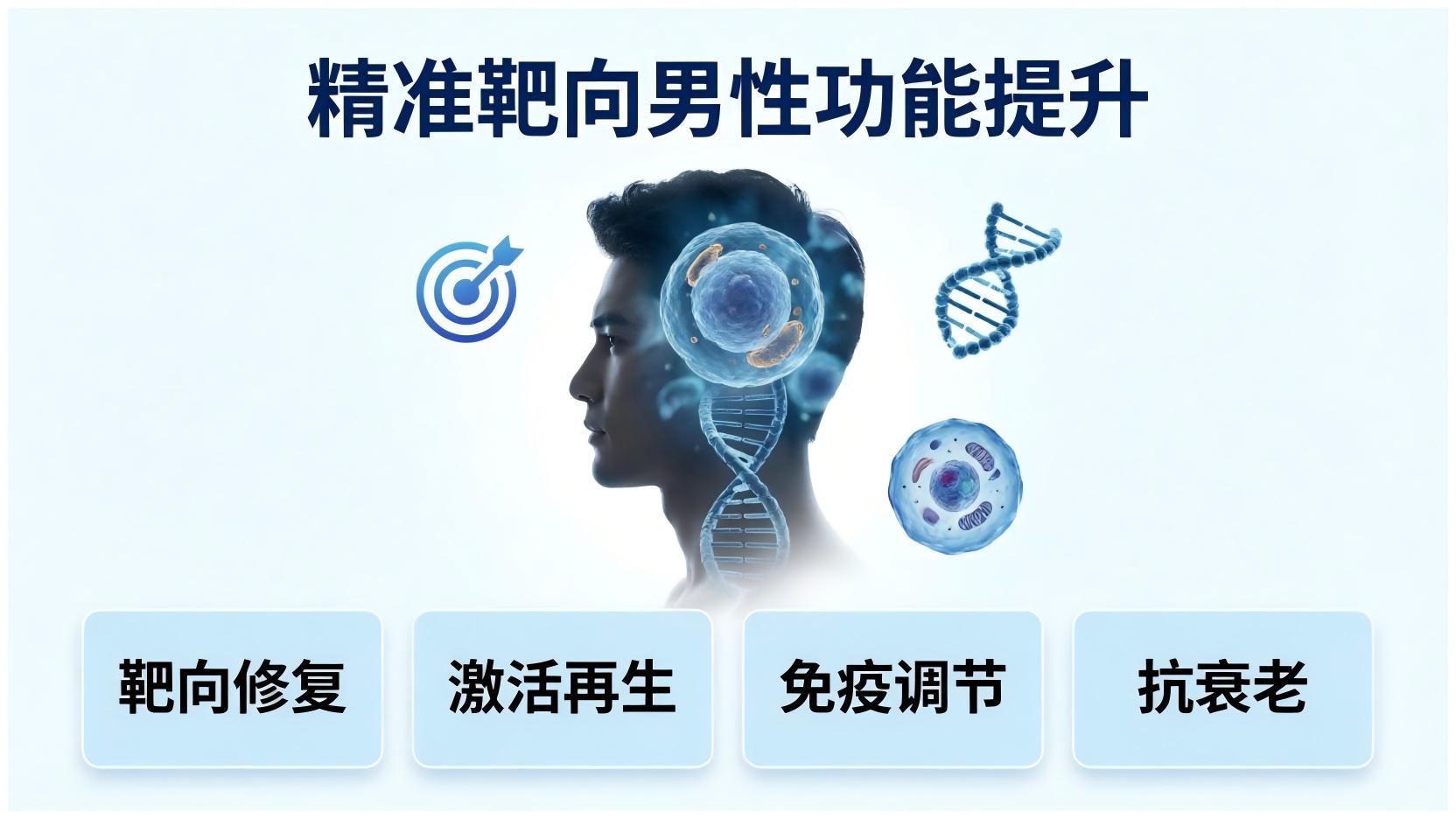 精准靶向男性功能提升