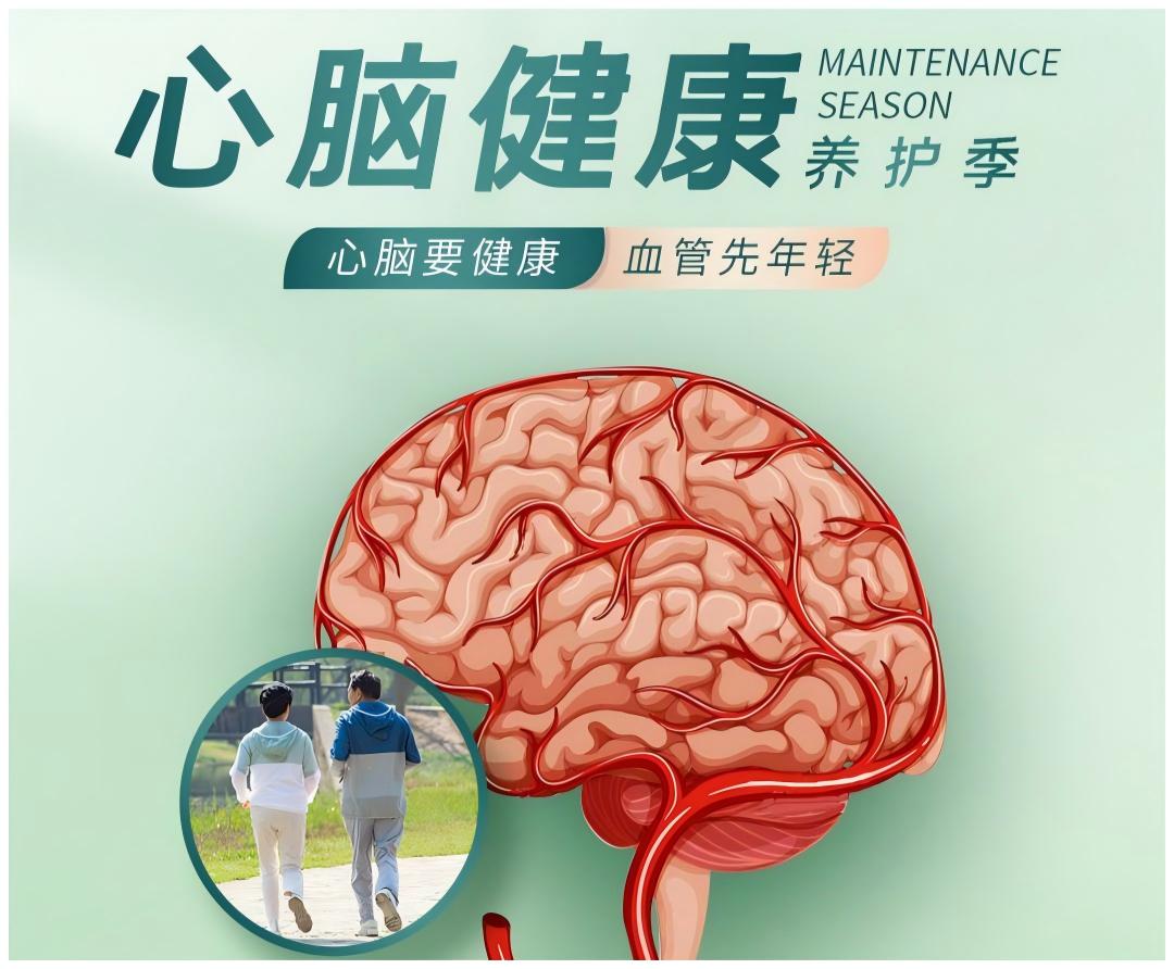 心脑养护