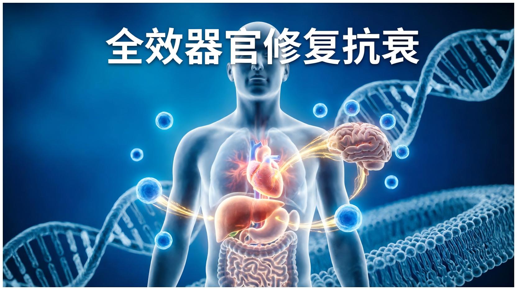 全效器官修复抗衰(干细胞)